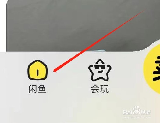 闲鱼怎样查看奢侈品