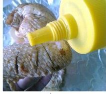 地中海果香红酒烤鸡翅