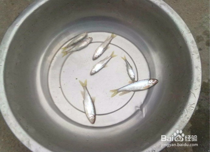 如何选择垂钓地域？
