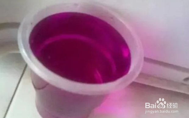 玉树老桩枝扦插生根最快方法