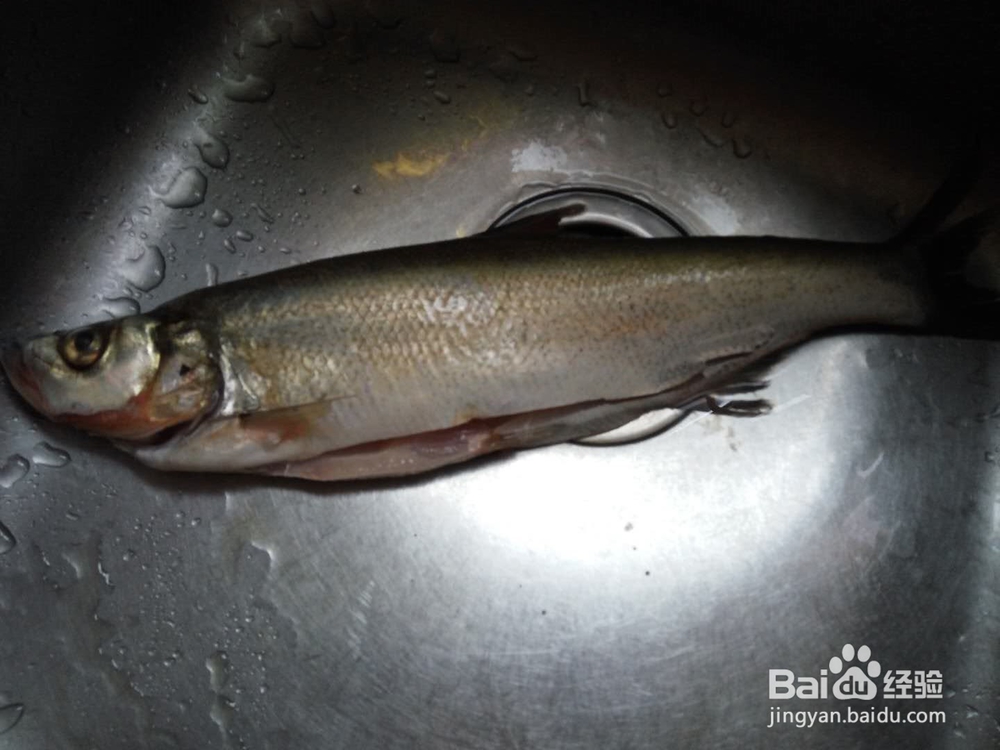 清蒸鱼怎么腌制