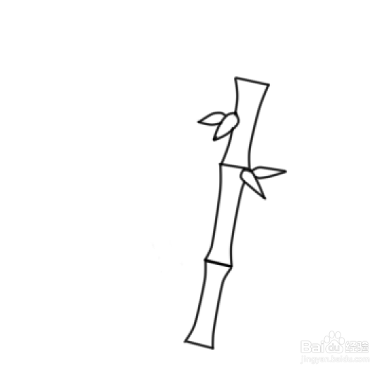 竹子简笔画怎么画竹子
