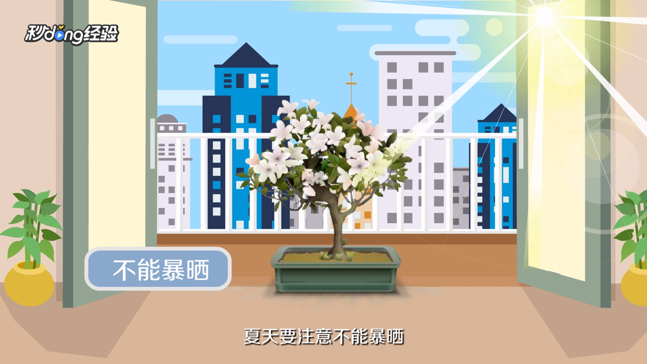 茉莉怎么养才能更旺盛