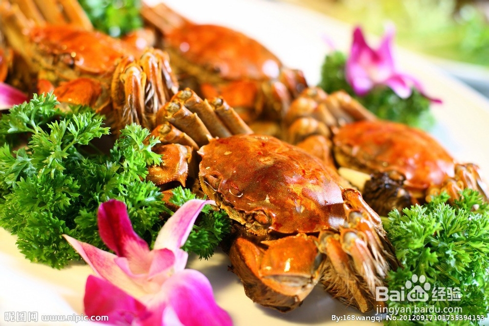 螃蟹和什么不能一起吃_吃螃蟹的注意事项!