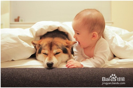 宝宝总哭怎么解决