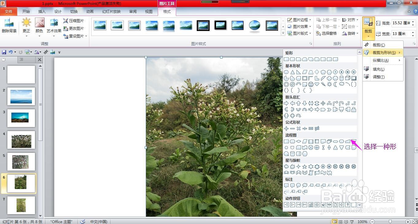 怎样使用PPT设置图片的样式