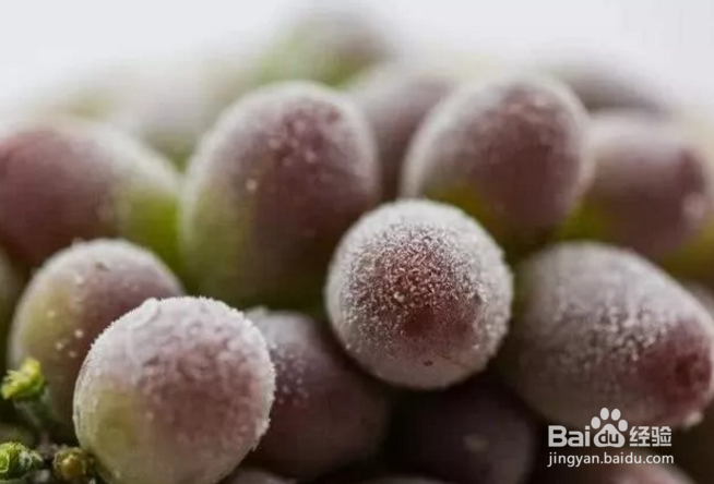 什么水果可以冷冻保存