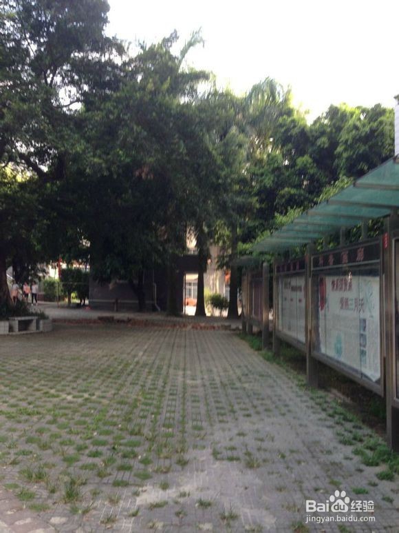 南华工商学院黄埔校区校园图片全攻略