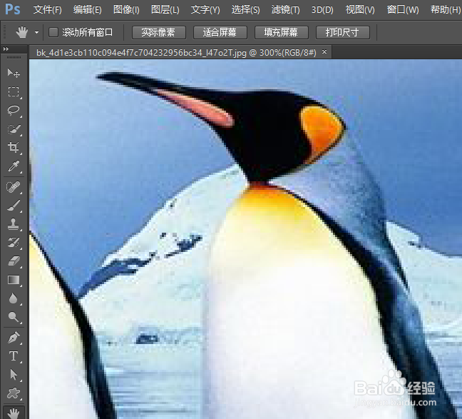 PhotoShop初学者之抓手工具