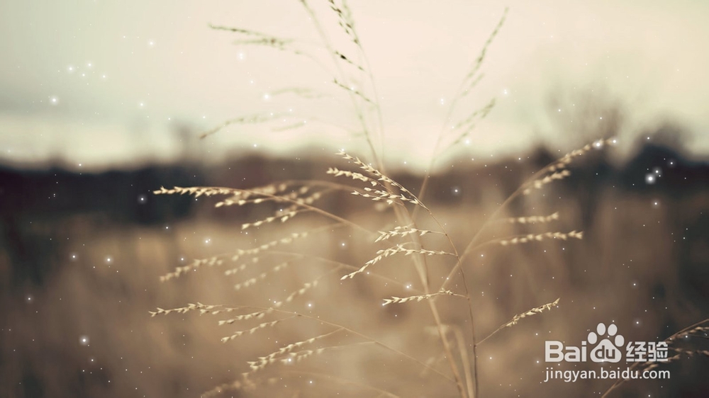 经济信息资源开发与利用：[47]复习总结四十七