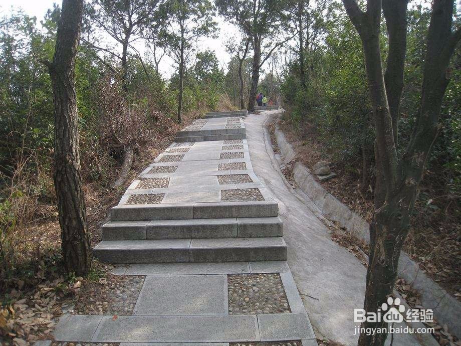 到毕棚沟自驾游攻略