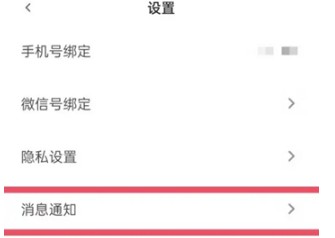 青藤之恋怎么开启动态消息