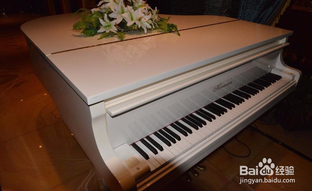 新手如何自学钢琴