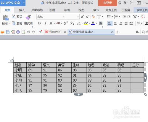 Word表格边框颜色设置方法 百度经验