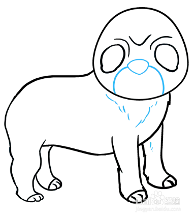 怎么画丑萌的八哥犬