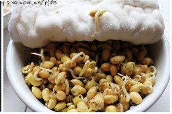 新年第一菜---黄豆芽炒粉