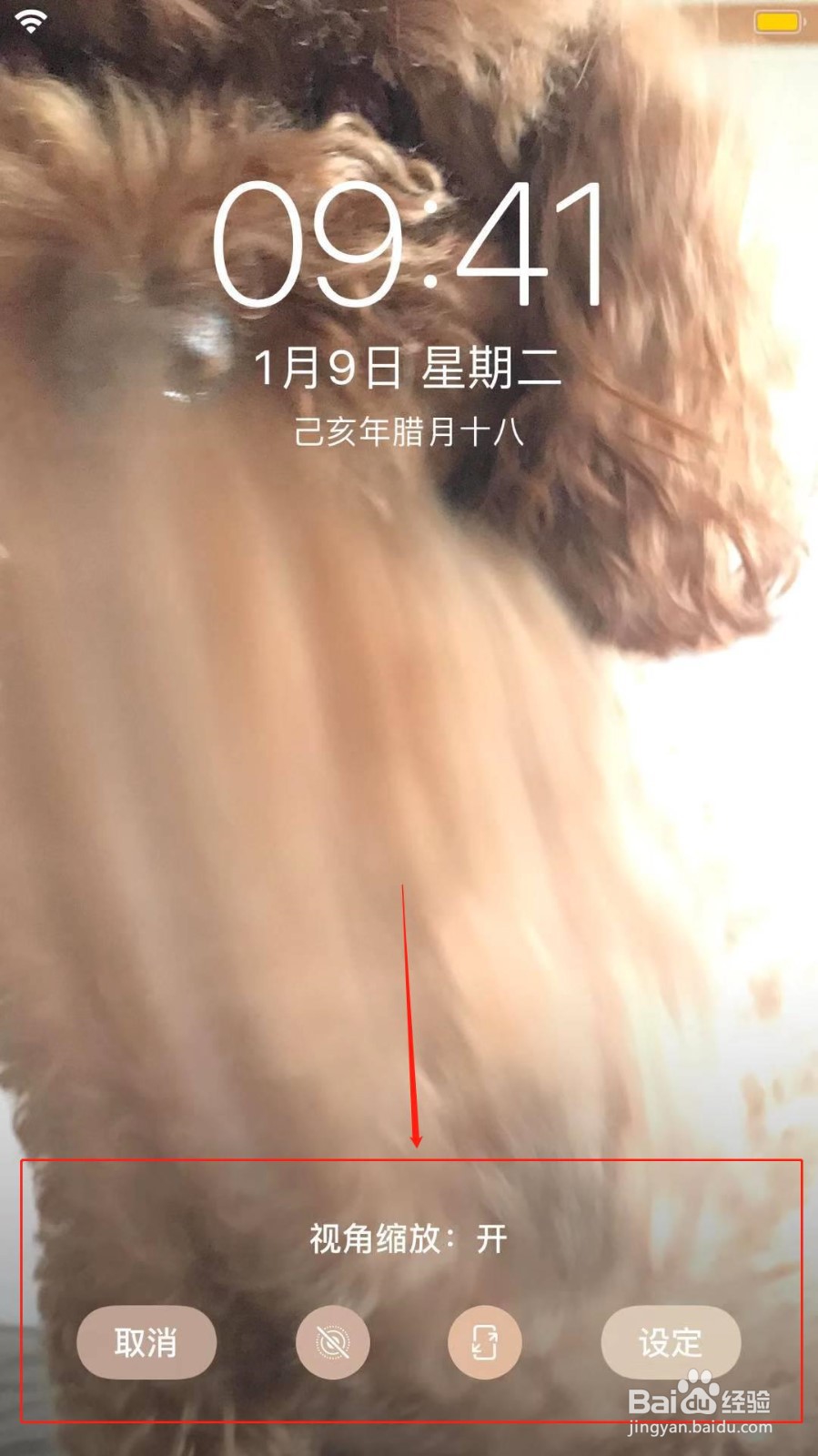 苹果动态壁纸怎么设置