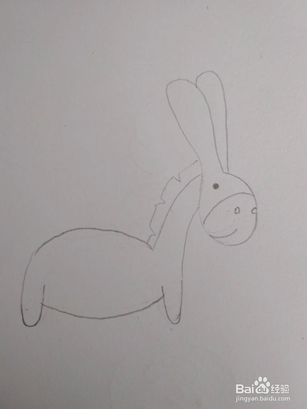 多妈简笔画动物一只顽皮的小毛驴