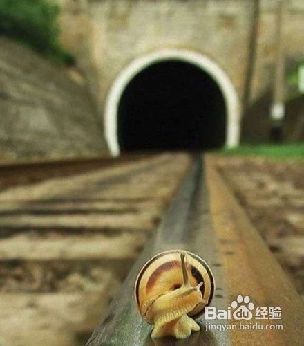 摄影构图的基本法则