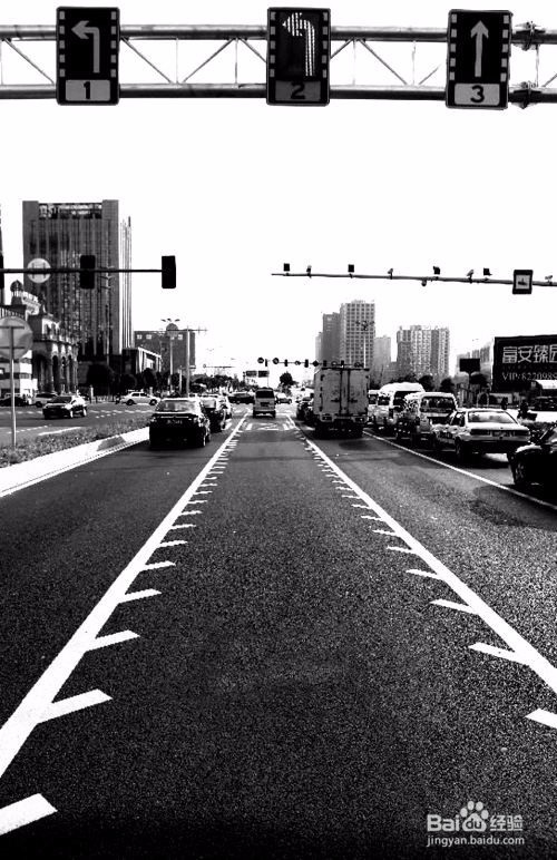 可变导向车道线怎么走