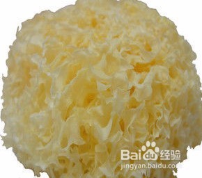 美味的雪梨沙参云耳杞子瘦肉汤