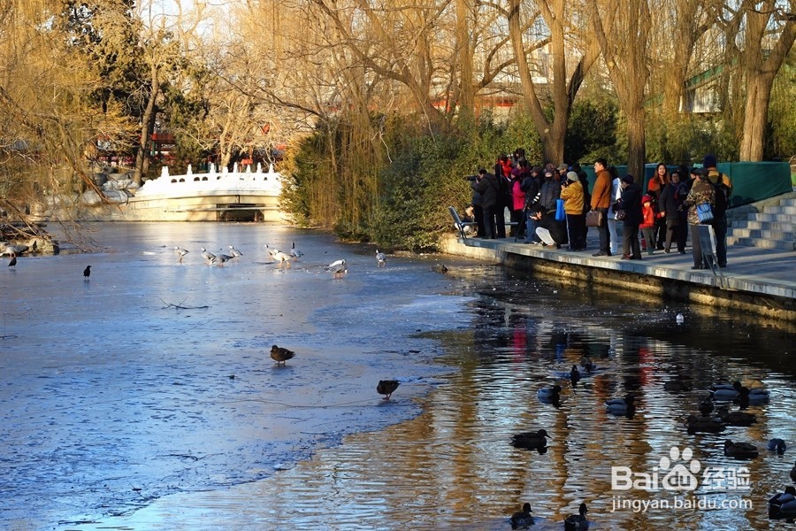 暑期北京两日游怎样安排好?