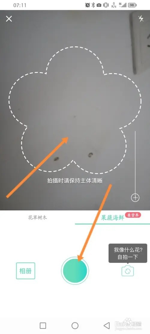 形色APP在哪里识别果蔬海鲜