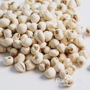 缓解及治疗支气管炎