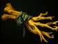 dota2英雄攻略之小鱼人斯拉克