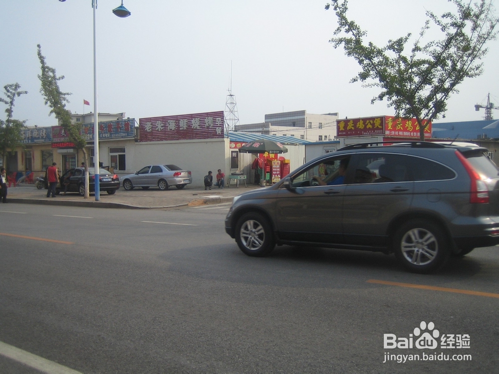 怎样告诉孩子安全过马路--37
