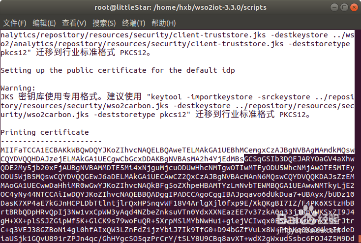 如何在Ubuntu中安装WSO2 Iot Server