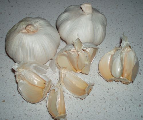 【防蚊虫】夏季避蚊驱蚊小窍门