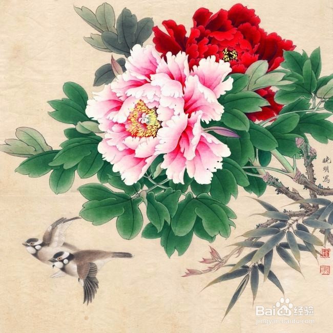 盆栽牡丹的诀窍