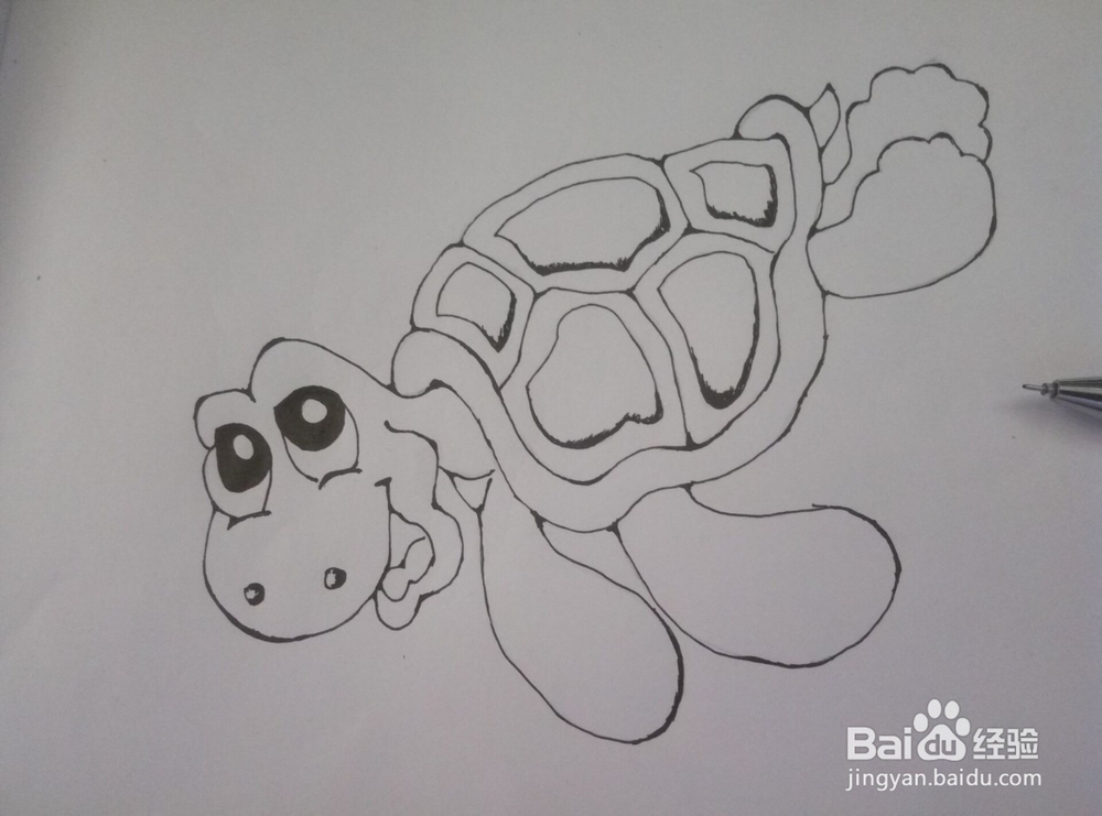 简笔画------海龟（小乌龟）