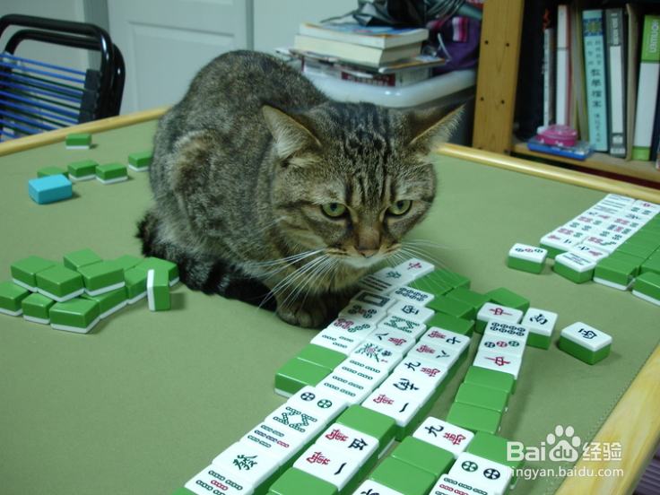 春节回家玩什么——假日要疯狂