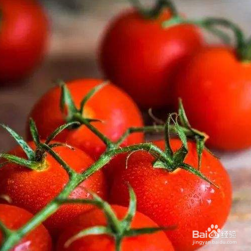 西红柿为什么不能放冰箱里