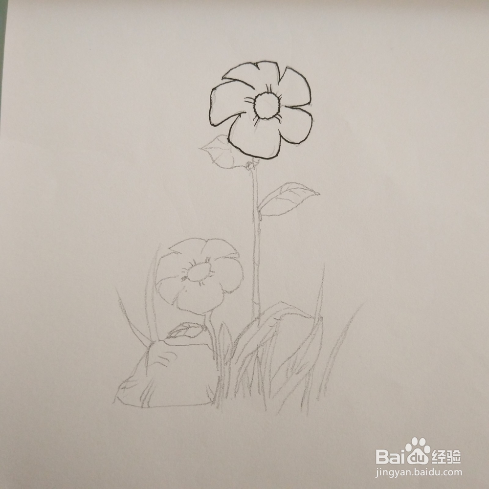 简笔画36:花朵画法