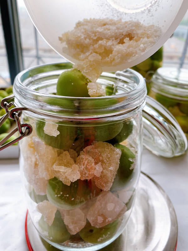 春日私酿-青梅酒