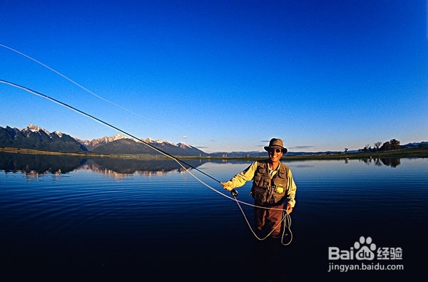 大中型水库钓鲤鱼的技巧教学