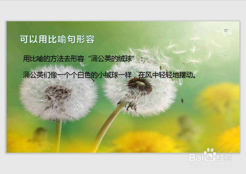 蒲公英的绒球怎么形容