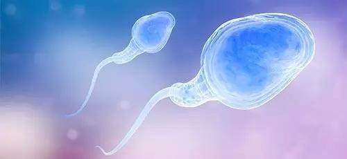 怀孕必备6个条件