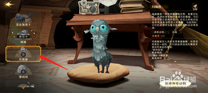 哈利波特魔法觉醒魔法灯谜会答案一览