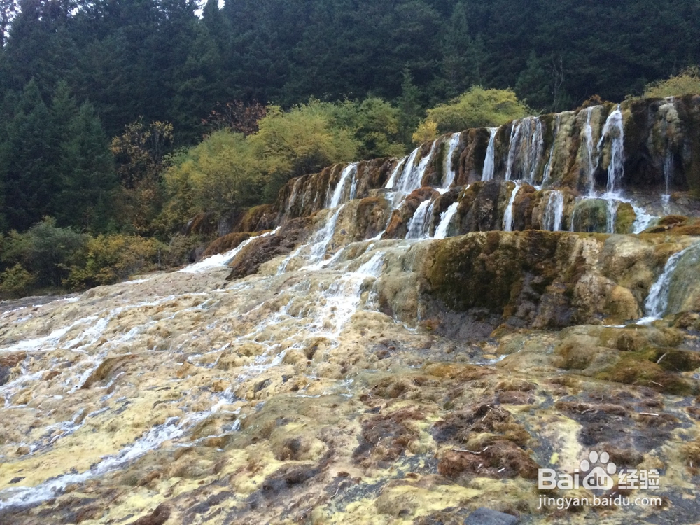 四川九寨沟、黄龙3天2夜旅游攻略
