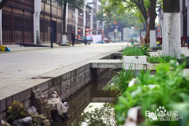 一路骑行一路歌,唯慢岛畅游时光美如故