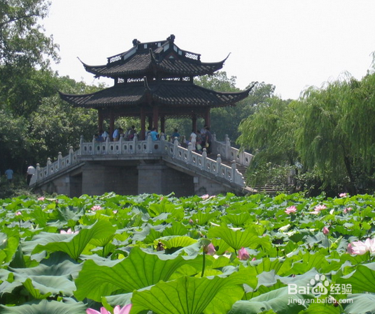 浙江有什么好玩的地方