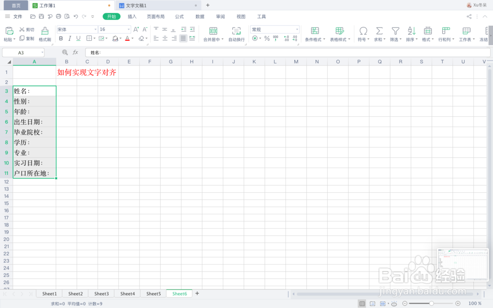 在Excel中，如何实现文字对齐