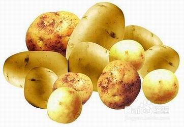 如何正确存储日常食材