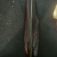 蒜香百味传奇烤茄子的做法步骤