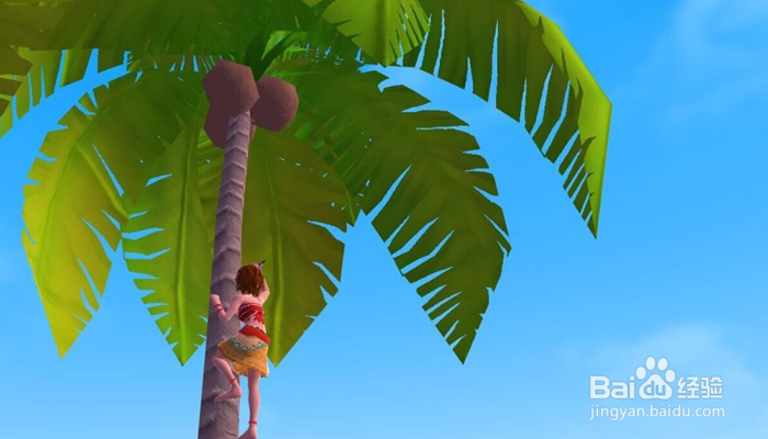 创造与魔法如何一天抓到云鸟