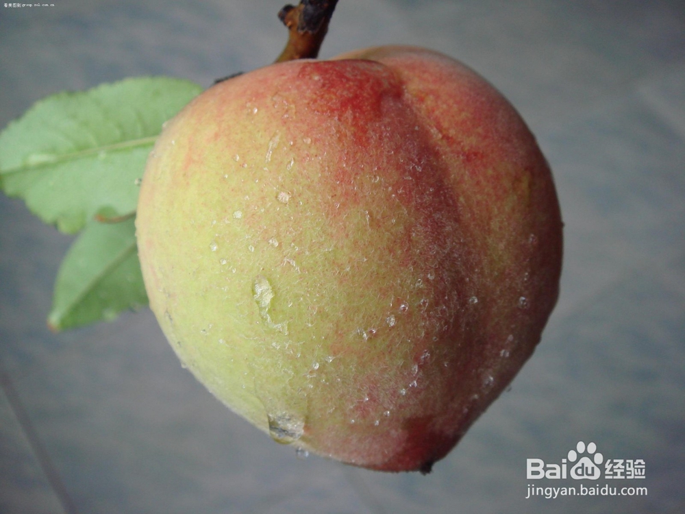 如何挑选优质桃